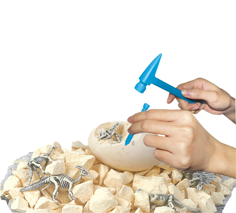 Dinosaur Fossil Dig Adventure - Assorted Styles