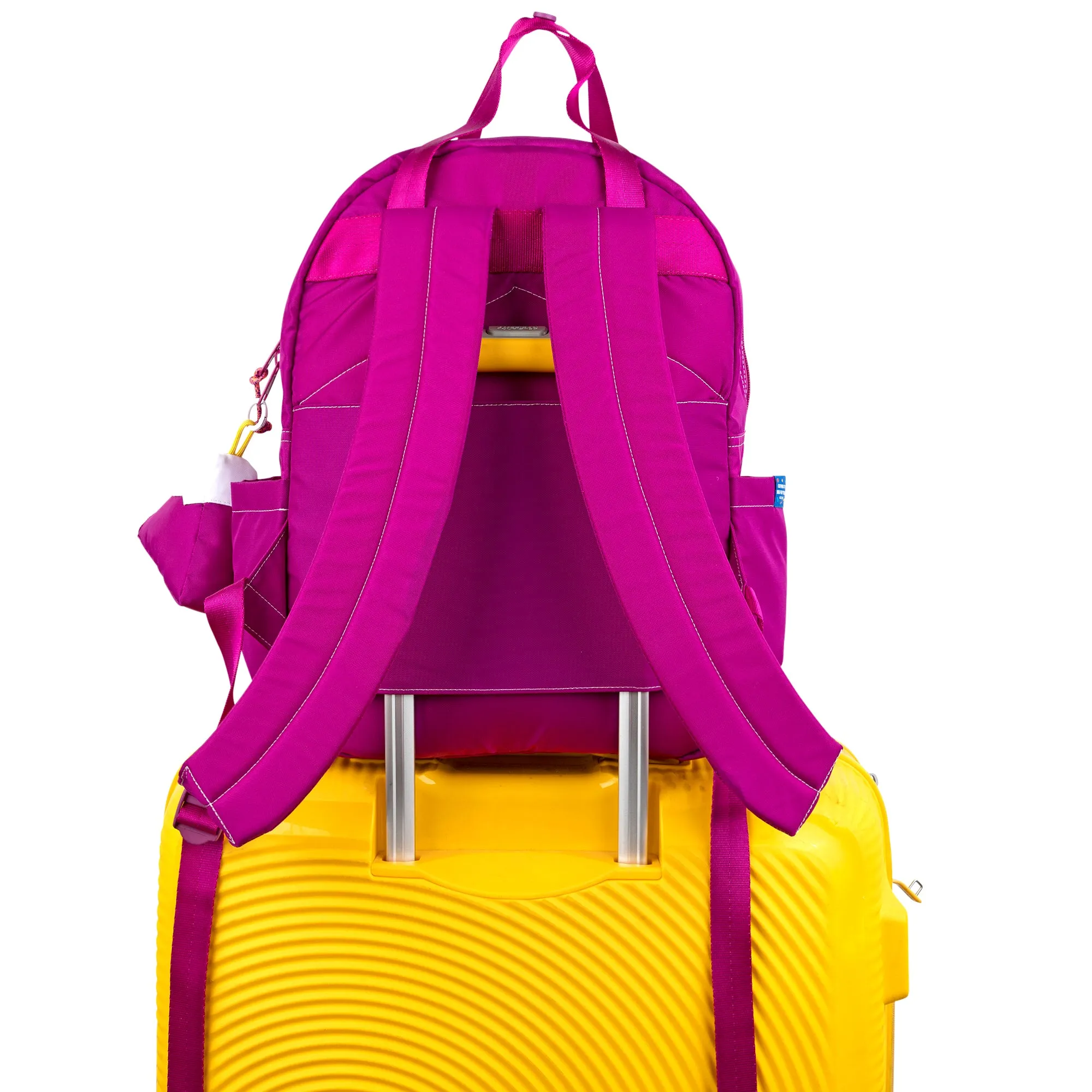 Grape Atlas Backpack