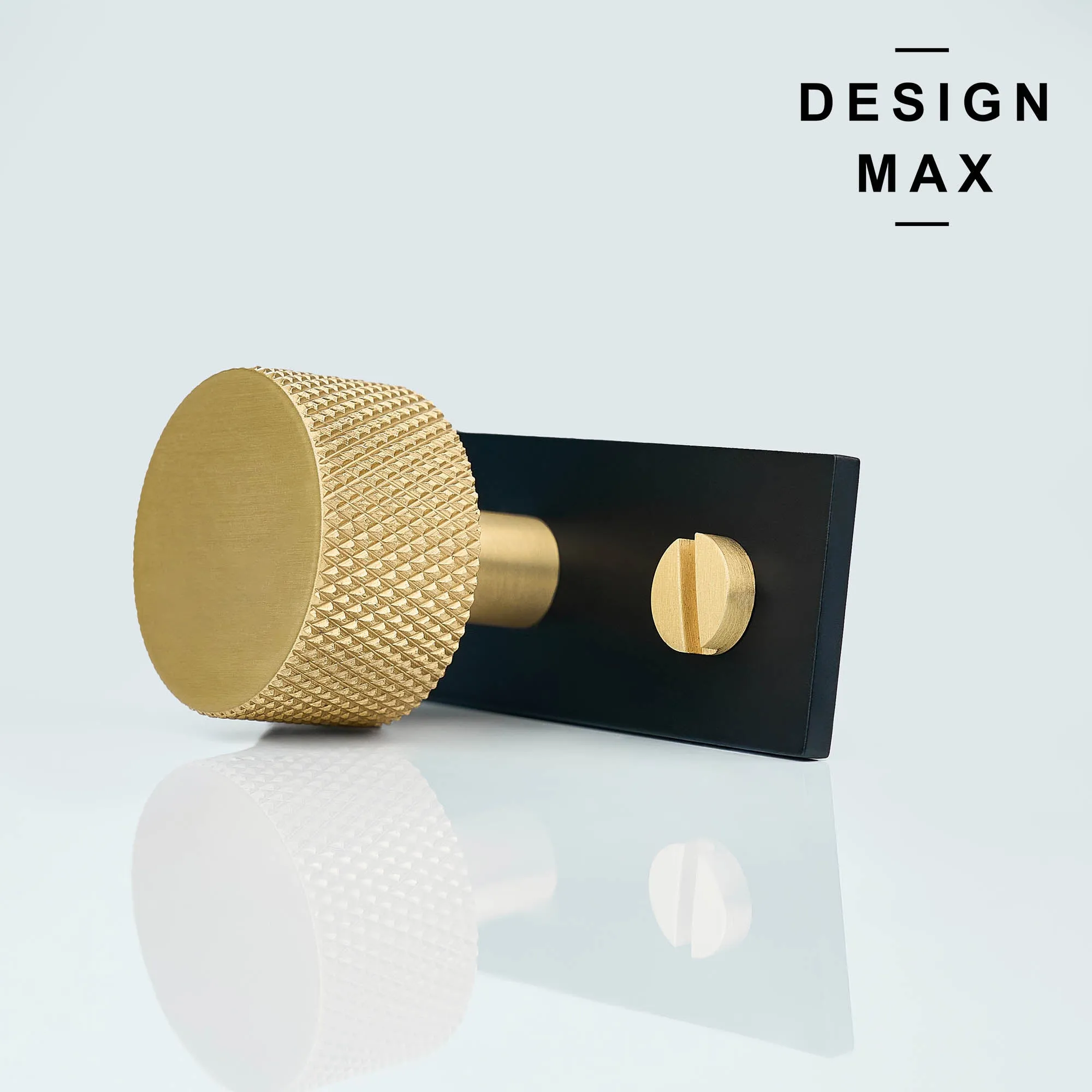 Modern Luxe Solid Brass Cabinet Knob with Backplate